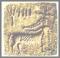 K50ac.jpg (13762 bytes)