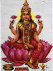 callakshmilr.jpg (19565 bytes)